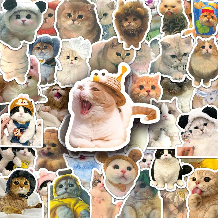 สติกเกอร์ ลายกราฟฟิตี้แมวตลก กันน้ํา สําหรับติดตกแต่งรถยนต์ แล็ปท็อป สเก็ตบอร์ด โทรศัพท์ 100 ชิ้น 100 ชิ้น