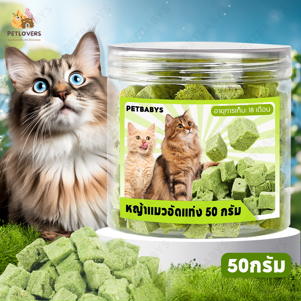 PETLOVERS หญ้าแมวฟรีซดราย 150 กรัม ขนมแมวฟรีซดราย อกไก่ผสมต้นอ่อนข้าวสาลีฟรีซดราย ช่วยขับขนในลำคอ