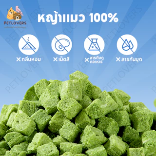 PETLOVERS หญ้าแมวฟรีซดราย 150 กรัม ขนมแมวฟรีซดราย อกไก่ผสมต้นอ่อนข้าวสาลีฟรีซดราย ช่วยขับขนในลำคอ
