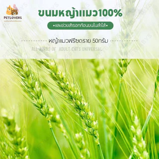 PETLOVERS หญ้าแมวฟรีซดราย 150 กรัม ขนมแมวฟรีซดราย อกไก่ผสมต้นอ่อนข้าวสาลีฟรีซดราย ช่วยขับขนในลำคอ