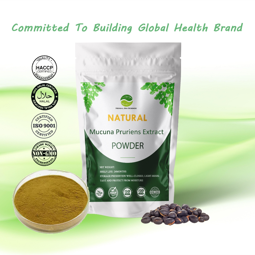 【คุณภาพสูง】ผงสกัด Mucuna Pruriens 100 กรัม / 250 กรัม / 1 กก. / ควบคุมน้ําตาลในเลือด / ลดคอเลสเตอรอล