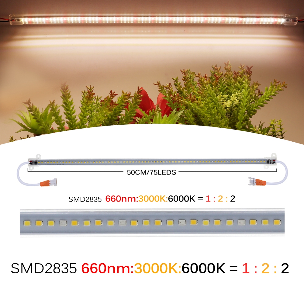 หลอดไฟ LED 75 ดวง 220V 50 ซม. พร้อมสวิตช์ 1 เมตร สําหรับปลูกพืชในร่ม ราคา ถูกที่สุด ดีลบีเคเค แกลเลอรีภาพที่ 3