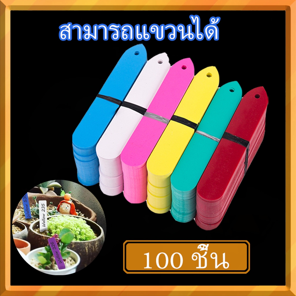 100 ชิ้น ป้ายชื่อพลาสติกกันน้ำ | มีรูสำหรับห้อย | สำหรับเนอสเซอรี่และกระถางต้นไม้ | ป้ายเครื่องหมายสำหรับโรงงาน