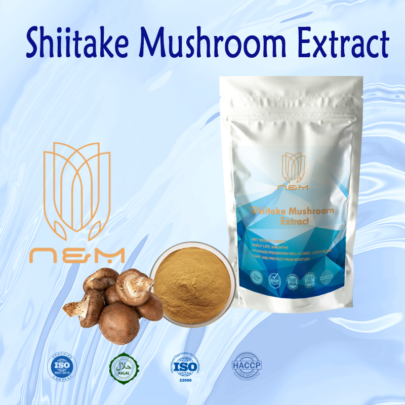 สารสกัดเห็ดหอม 20:1/คอเลสเตอรอลต่ํา/สารต้านอนุมูลอิสระและต่อต้านริ้วรอย/Kosher&HALAL ได้รับการรับรอง