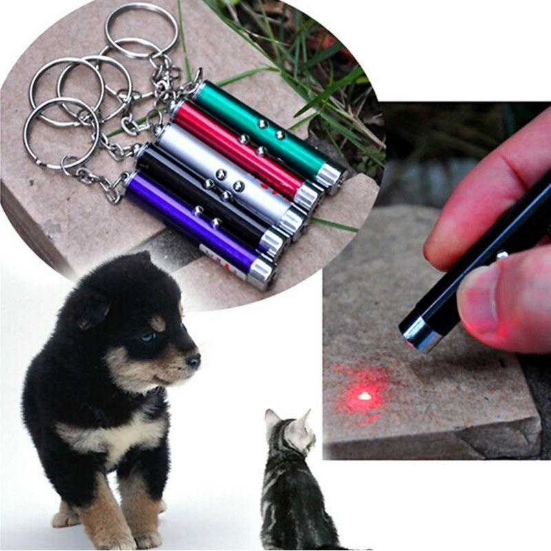ของเล่นสัตว์เลี้ยง ปากกาชี้แสงเลเซอร์ LED รูปการ์ตูนหนู สุดฮา สําหรับสุนัข แมว