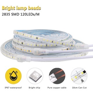 220V ไฟ LED Strip ยืดหยุ่น 2835 120LEDs/M, กันน้ํากลางแจ้ง Warm/สีขาว Self-Adhesive Home Decor Lighting