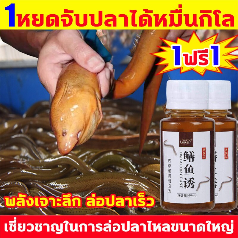 หยดเดียวจับปลาได้ 500 กิโลกรัม หัวเชื้อปลาไหลใช้เป็นพิเศษเพื่อดึงดูดปลาไหลขนาดใหญ่ หัวเชื้อตกปลา ปลาดึงดูดเหยื่อ และกับดักปลาไหล