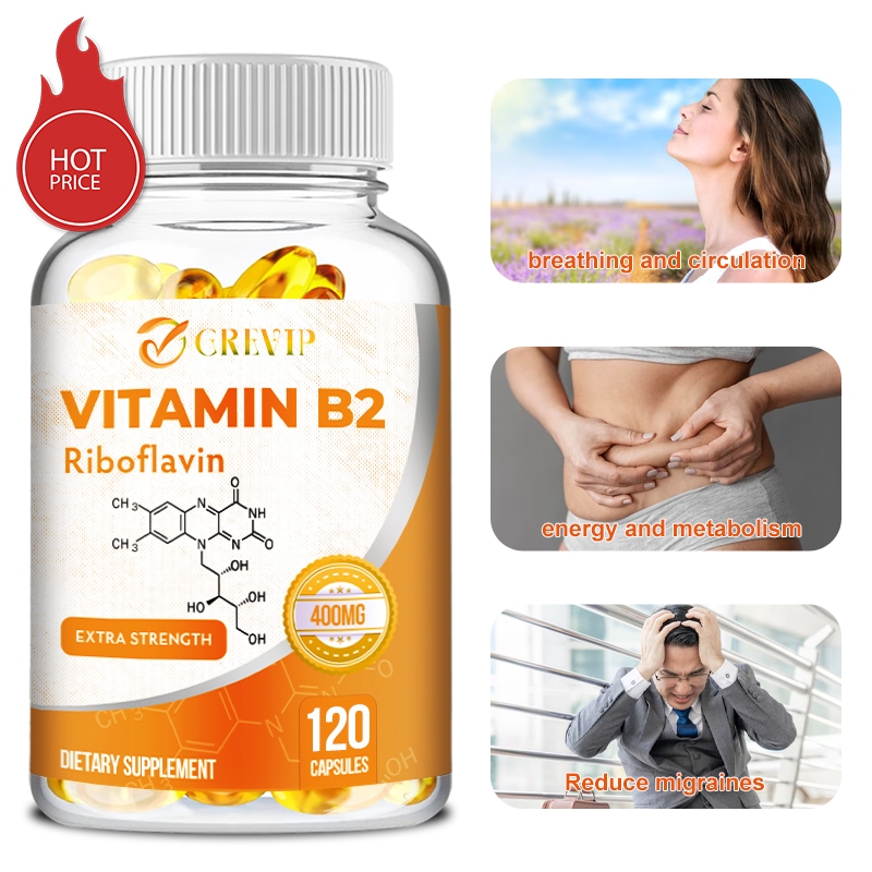 วิตามิน B2 (Riboflavin) 400 มก. สําหรับสมอง หัวใจ ข้อต่อ ผิวหนัง และภูมิคุ้มกัน
