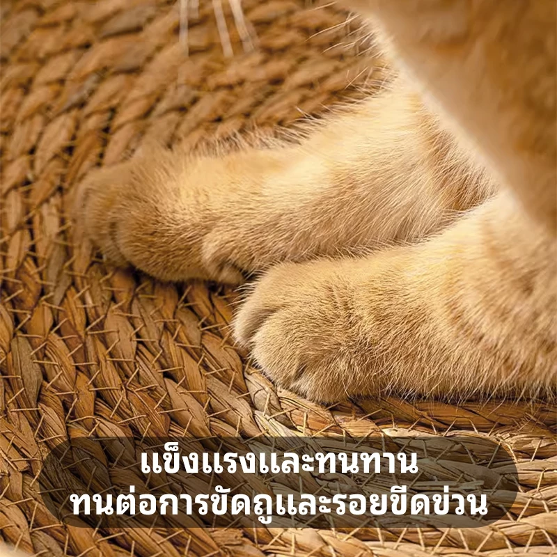 P&P:[COD] รังแมว ที่นอนแมว คอกสุนัข เบาะนอนสัตว์เลี้ยง ที่นอนสาน การทอฟาง ซักได้ รังสัตว์เลี้ยง เป็นสากลในทุกฤดูกาลมอบขนมแมวเป็นของขวัญ thumbnail 4