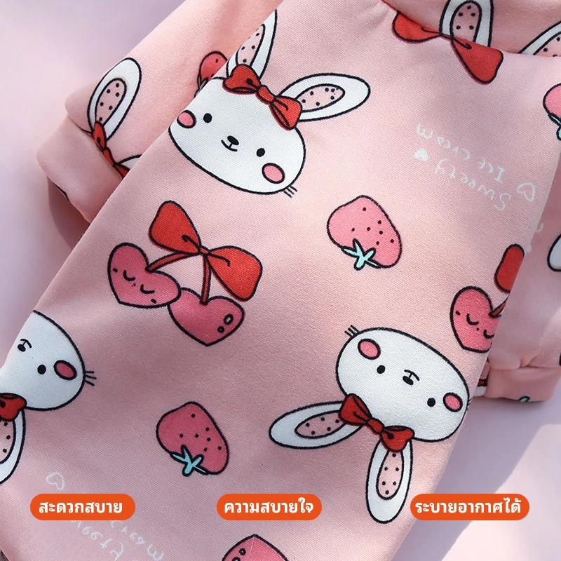 P&P เสื้อสุนัขลายการ์ตูน ผ้านิ่ม สำหรับสัตว์เลี้ยง XS-XL thumbnail 5