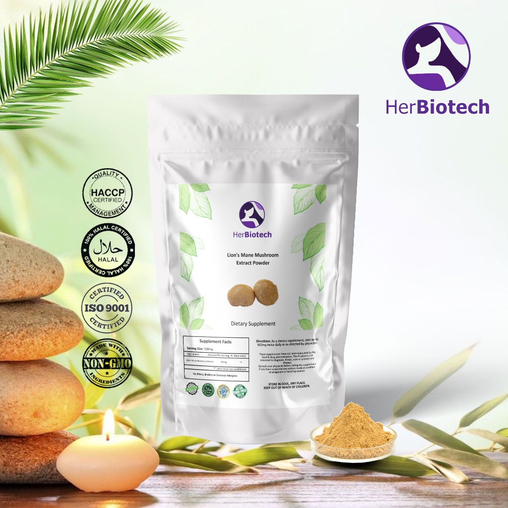 Lions Mane Mushroom ผงสกัดเห็ดถั่งเฉ้าเคราสิงโตพรีเมียม: ดูแลกระเพาะอาหาร & เสริมพลังต้านอนุมูลอิสระ