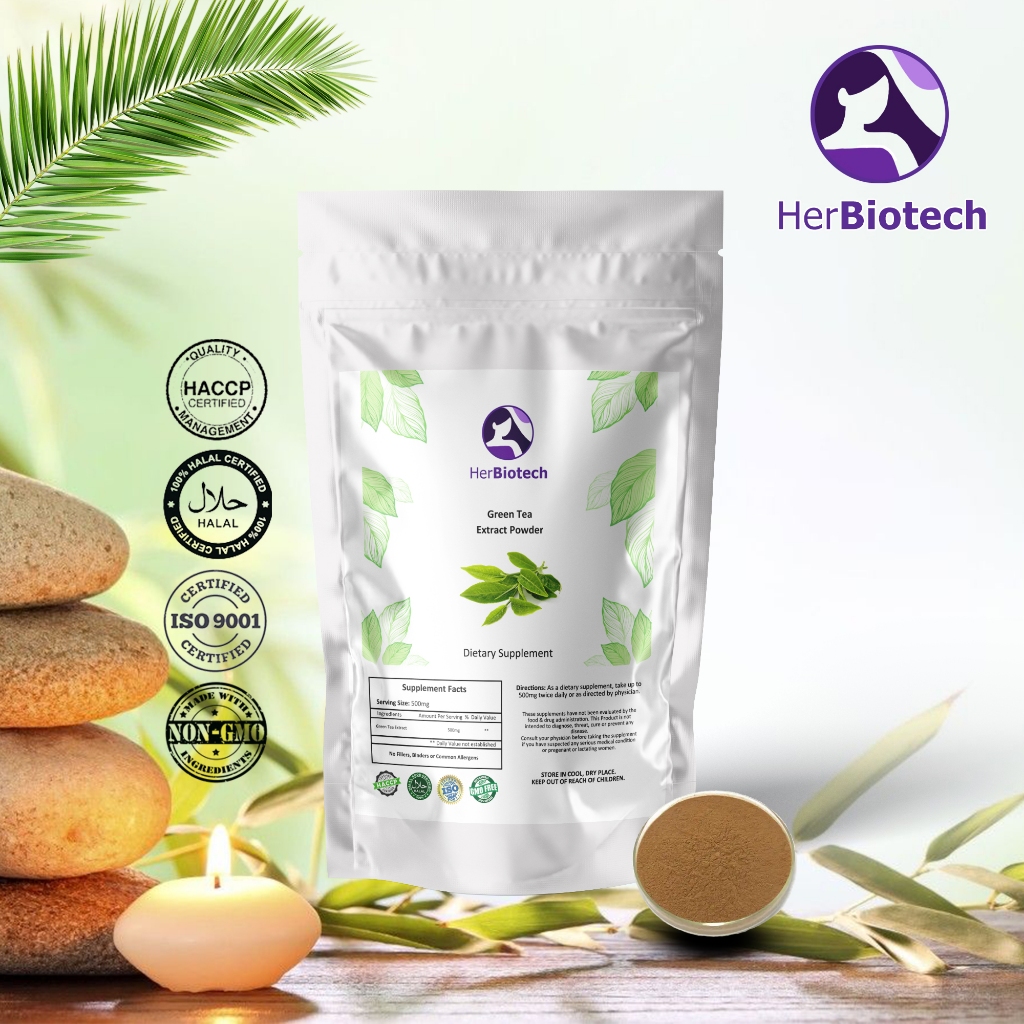 ผงสารสกัดชาเขียว (Green Tea Extract Powder): การปกป้องด้วยสารต้านอนุมูลอิสระ และการสนับสนุนระบบเผาผลาญ