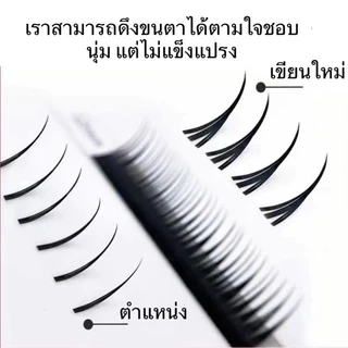 การ์ตูนเปียก ขนตาปลอมแหลมตามธรรมชาติ นุ่มและไม่หลวม และซีดีพลิกเป็นขนตาต่อกิ่ง