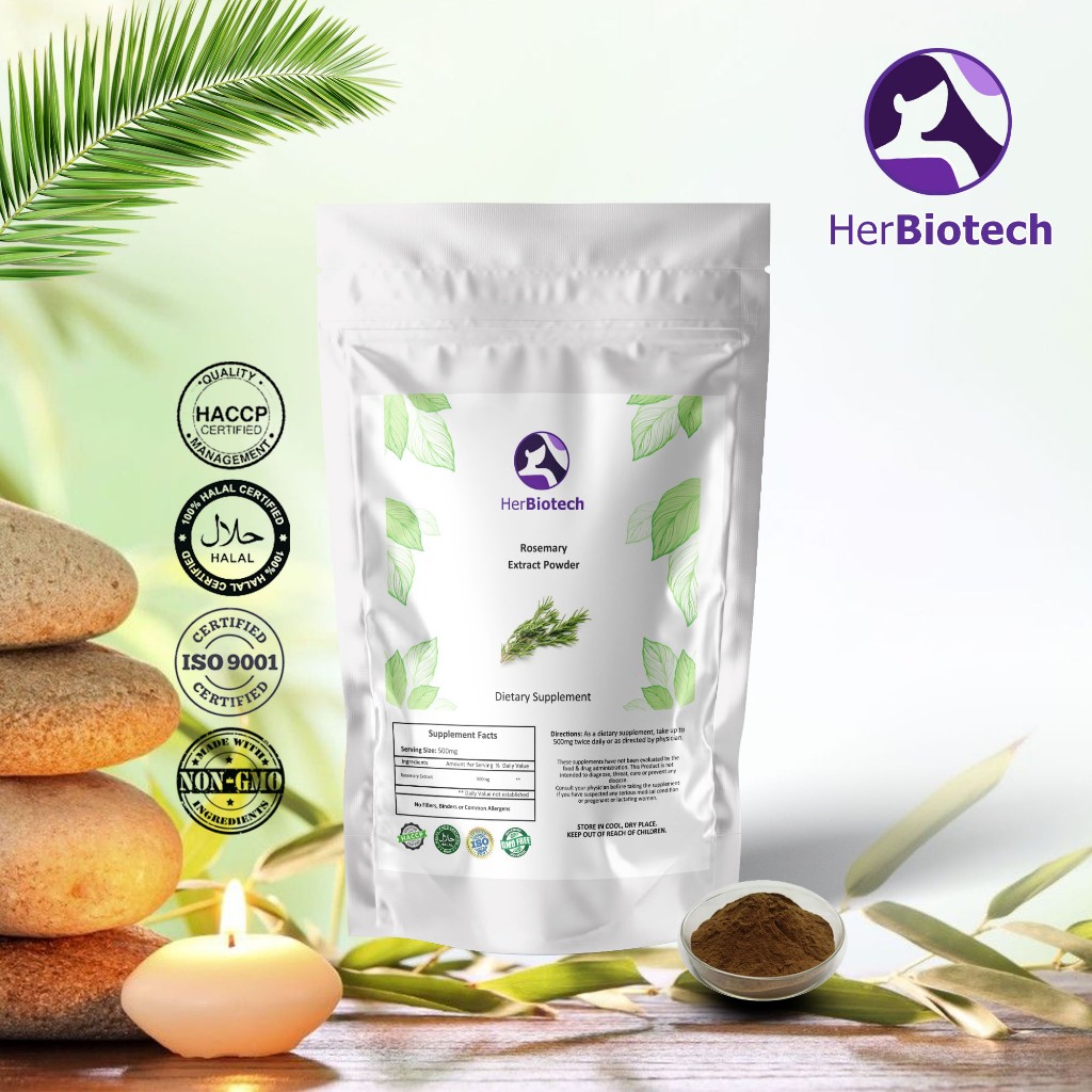 ผงสารสกัดโรสแมรี่ (Rosemary Extract Powder): สมุนไพรล้ำค่าจากธรรมชาติ เพื่อสุขภาพและความเป็นอยู่ที่ดี
