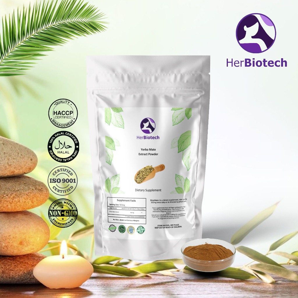 Yerba Mate ผงสกัดเยอร์บาเมท: เอลิกเซอร์แห่งพลังธรรมชาติ เพื่อโฟกัสและพลังชีวิต ต่อต้านความอ่อนล้า