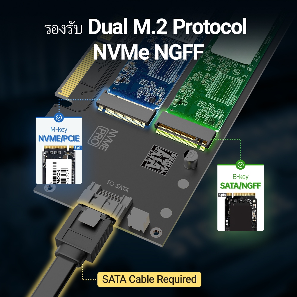 Jeyi SK9 m.2 อะแดปเตอร์ PCIe 4.0 คู่ พร้อมพัดลมเทอร์โบ NVME (m Key) และ SATA (b Key) SSD x4 X8 X16 สีเขียว สําหรับคอมพิวเตอร์