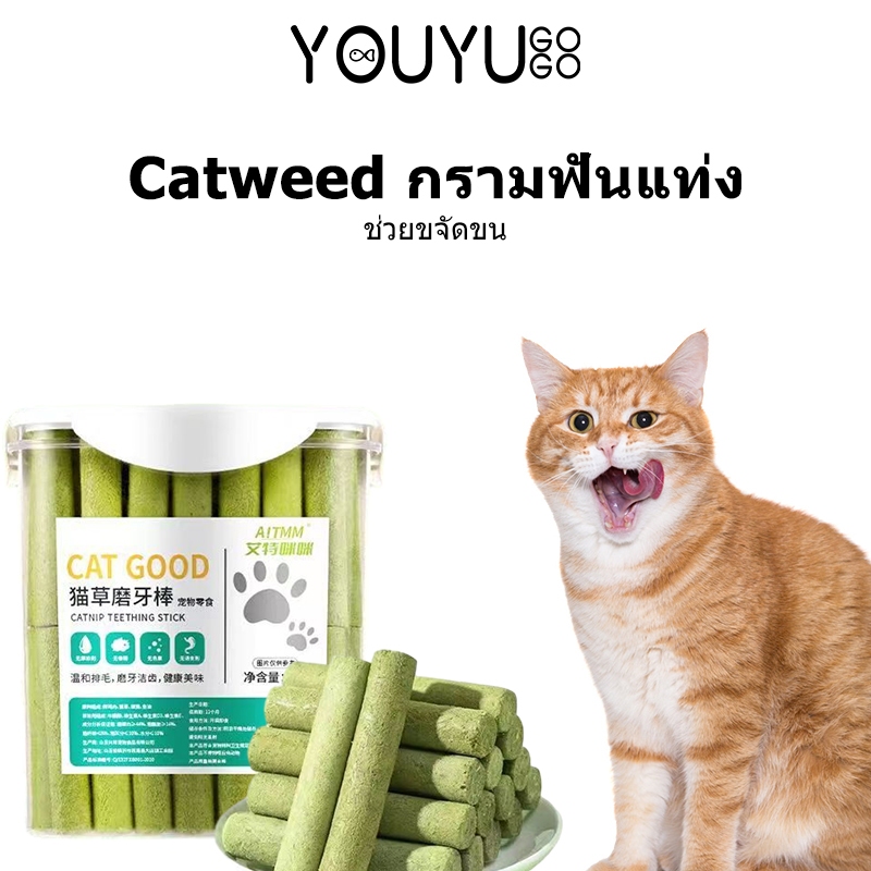 หญ้าแมวฟรีซดราย หญ้าแมว อาหารแมว หญ้าแมวติด ขนมหญ้าแมว เพื่อสุขภาพช่องปาก