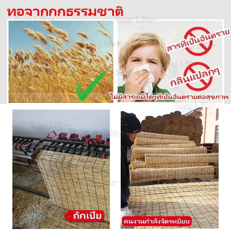 ม่านกกม้วน ปรับได้ กันน้ำ 2 รุ่น 4 ขนาด ปูขายตลาดนัด thumbnail 6