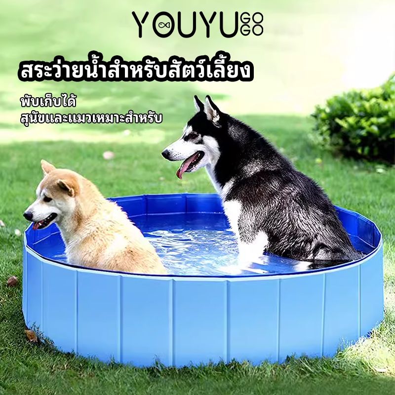 【พร้อมส่ง】สระว่ายน้ำสัตว์เลี้ยง พับได้ ไม่ต้องเป่าลม หนาพิเศษ สระสุนัข สระน้ำขนาดใหญ่ อ่างน้ำเด็ก บ่อเอนกประสงค์