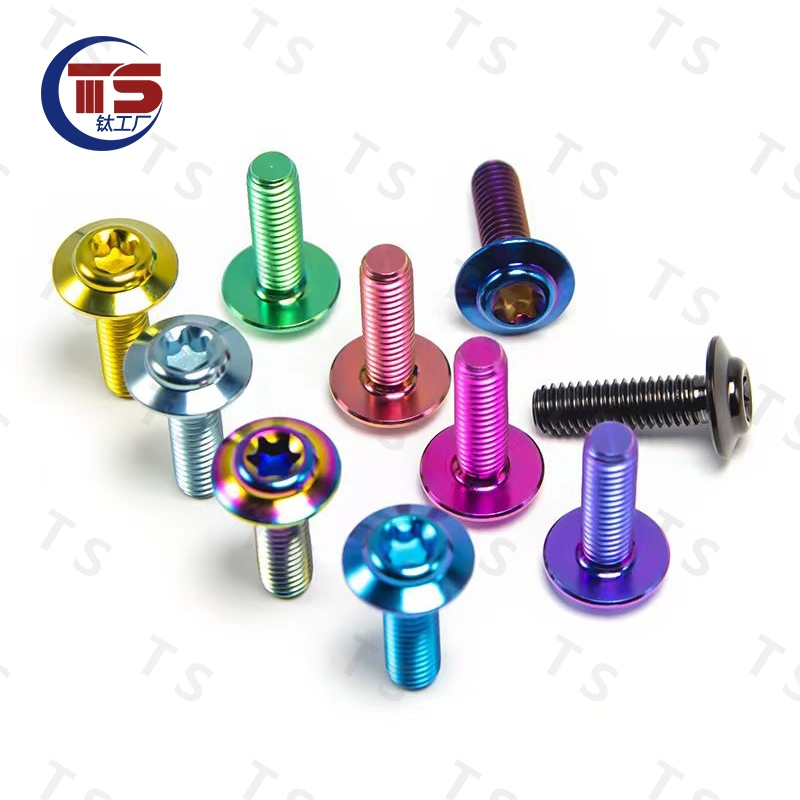 สกรูไทเทเนียมอัลลอยด์ M5X10 15 20 มม. สําหรับรถจักรยานยนต์ไฟฟ้า