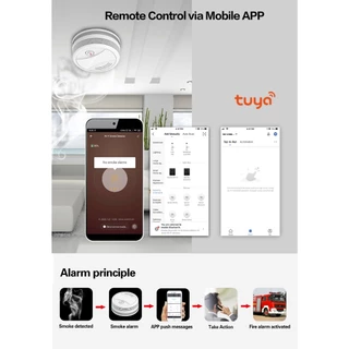 Daytech ตรวจจับควัน smoke detector เซ็นเซอร์ควัน ใช้สำนักงาน/บ้าน เครื่องไฟอัจฉริยะ tuya smart WiFi