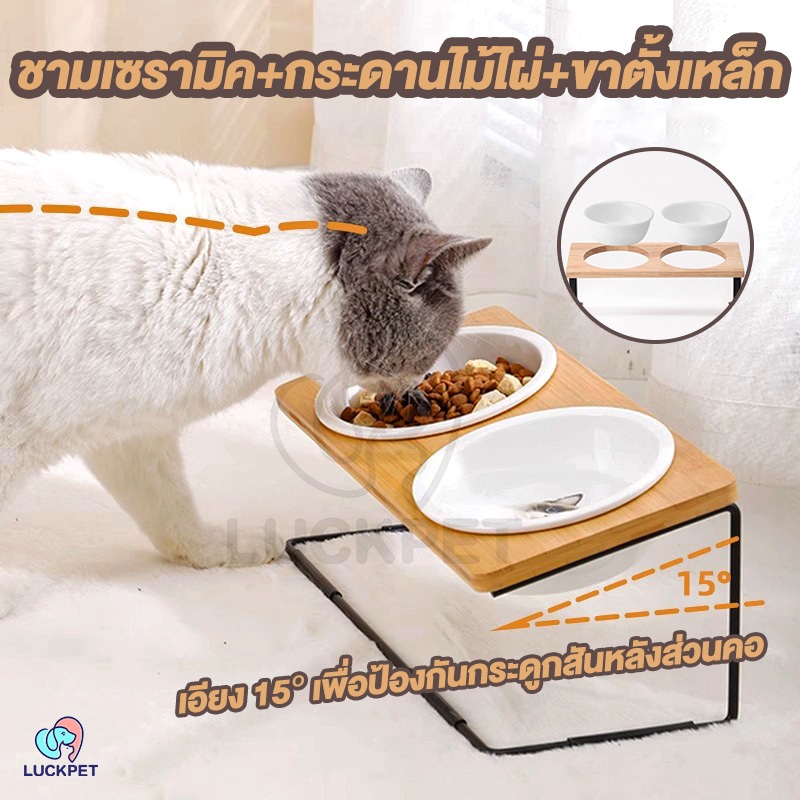 ชามอาหารหน้าแมว ชามเซรามิค ชามอาหารสัตว์เลี้ยง เซทที่ใส่อาหาร เอียง 15 องศา ที่ใส่อาหารทรงสูง สำหรับสัตว์เลี้ยง