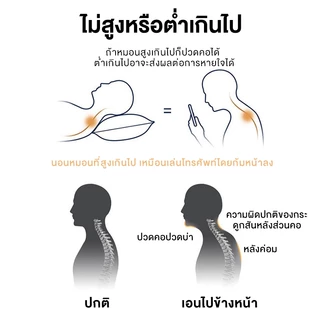 BlueWhite หมอน หมอนสุขภาพ แก้ปวดคอ บ่า ไหล่ หมอนยางพารา นอนหลับสบาย สัมผัสนุ่ม 3D ลดการนอนกรน ป้องกันไรฝุ่น รองรับน้ําหนักได้เป็นอย่างดี Pillow