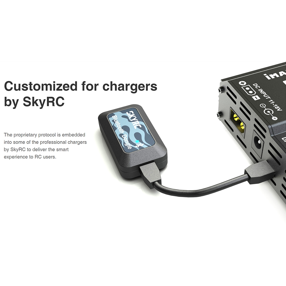 Skyrc NC2200 ที่ชาร์จแบตเตอรี่ 12V 2.0A 4 ช่อง AA AAA และเครื่องวิเคราะห์แบตเตอรี่ NiMH NiCD - รูปที่ 7