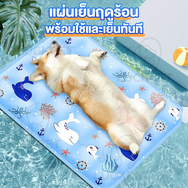 Pet Cool mat ที่นอนเจลเย็น ที่นอนเย็น ที่นอนสัตว์เลี้ยง ที่นอนสุนัข แผ่นเจลเย็นสุนัข ที่นอนสัตว์เลี้ยง
