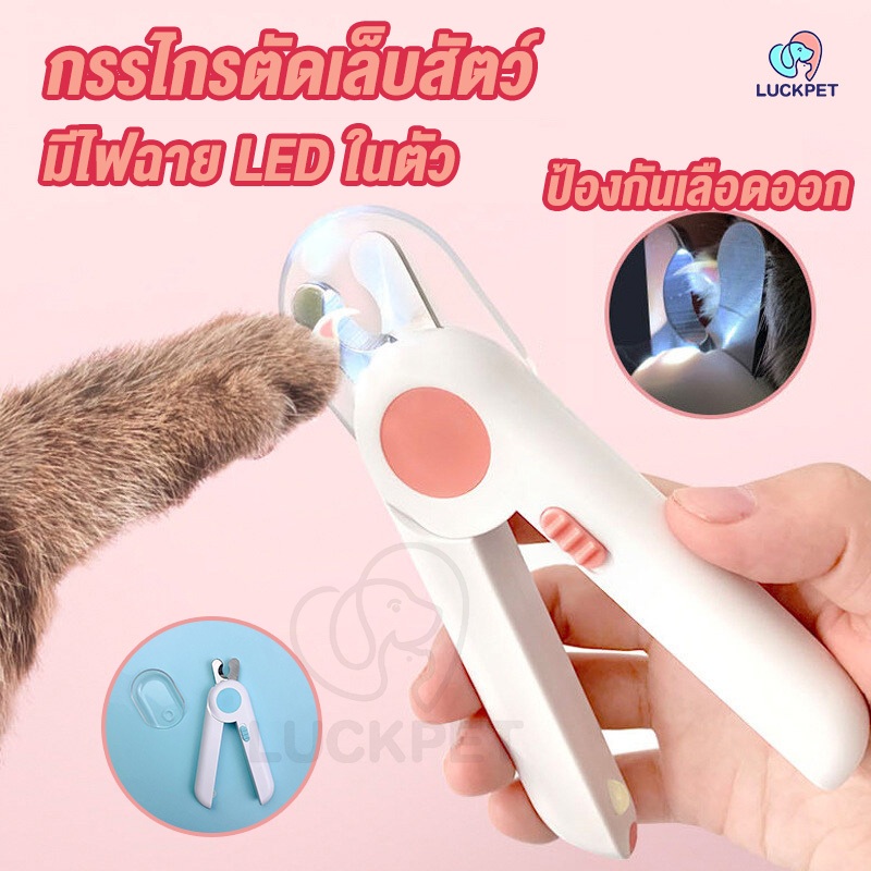 กรรไกรตัดเล็บสัตว์ พร้อมตะไบ กรรไกรตัดเล็บแมว ปลอกสีใส ที่ตัดเล็บแมว LED กรรไกรตัดเล็บแบบมีไฟ กรรไกรตัดเล็บ Pet Nail Clippers
