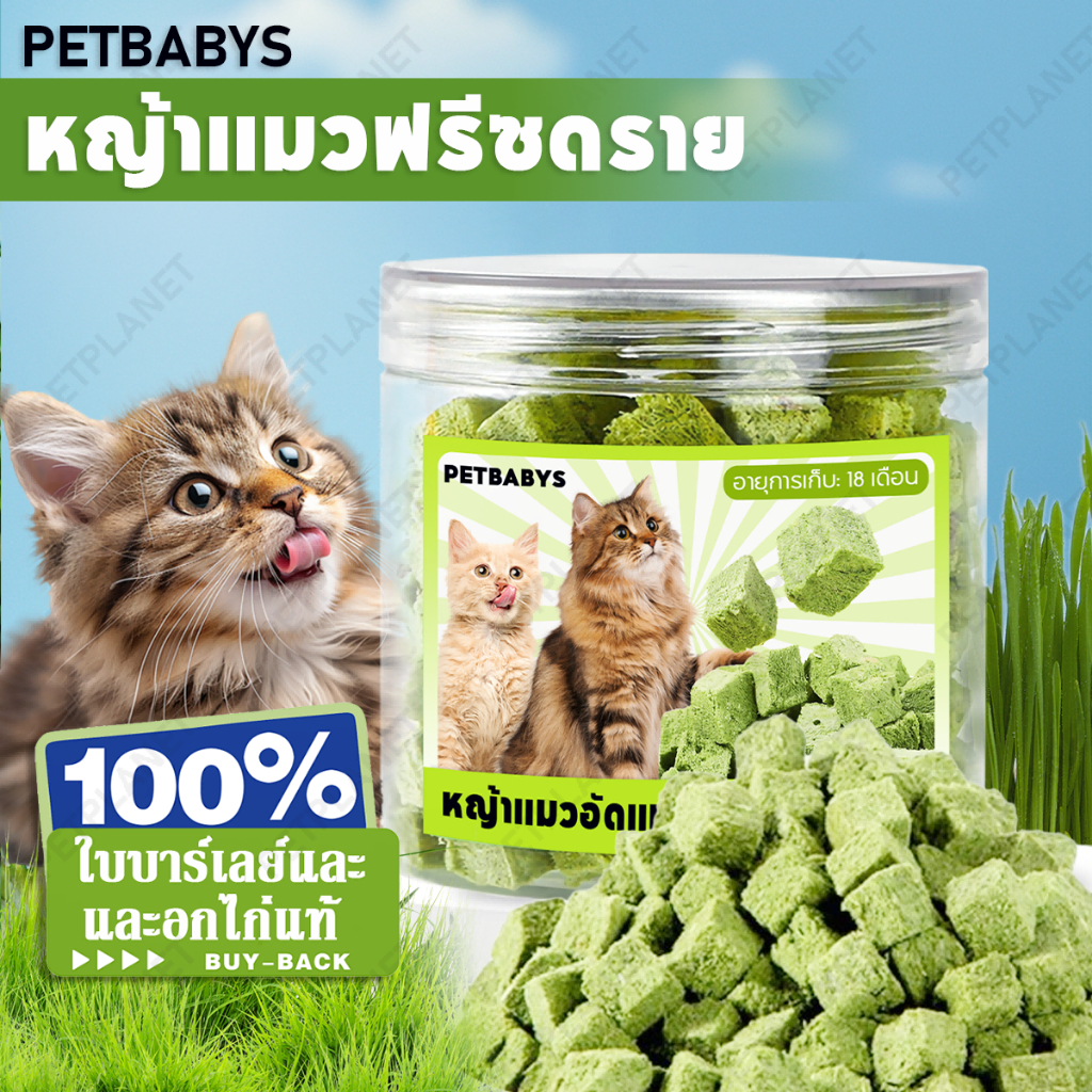 พร้อมส่ง!  หญ้าแมวฟรีซดราย ขนมแมว 50 กรัม  อกไก่ผสมต้นอ่อนข้าวสาลีฟรีซดราย ช่วยสำรอกก้อนขน หอม ทานง่าย