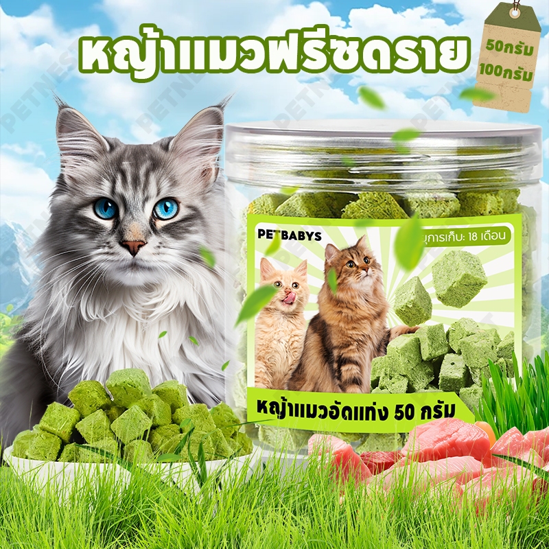 พร้อมส่ง! หญ้าแมวฟรีซดราย 50g ขนมแมวฟรีซดราย ขนมหญ้าแมว ลดการสำลักขน ช่วยขับขนในลำคอ ลำไส้ ผสมอกไก่แท้ โปรตีนสูง หอม ทานง่าย