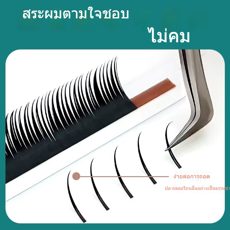 [12แถว] 0.05 การ์ตูน Sharpened Wet Eyelashes Beauty Eyelash Shop Dedicated Super Soft Grafted Eyelashes Single More Take Thai Style เข้ารหัสผม - รูปที่ 3