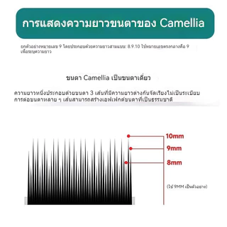 [12แถว] 0.07 สไตล์จีน Camellia LC Fox Series Cat Series กว้างมุมสไตล์การ์ตูน Super Soft Fairy Hair ขนตาปลอมขนตาศิลปิน