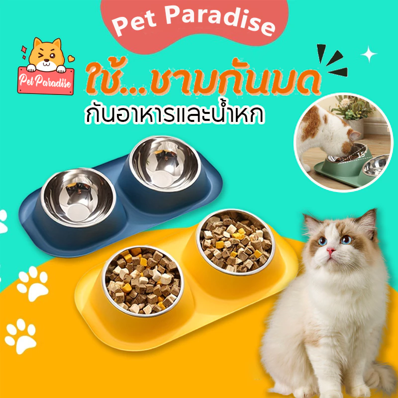 ชามอาหารแมว 2 หลุม แบบกันมด ชามอาหารสัตว์ ชามอาหารหมา สแตนเลส ทนทาน ปรับความสูงได้ คัดสรรมาเพื่อสัตว์เลี้ยง
