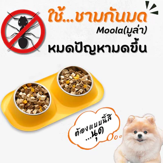 ชามอาหารแมว 2 หลุม แบบกันมด ชามอาหารสัตว์ ชามอาหารหมา สแตนเลส ทนทาน ปรับความสูงได้ คัดสรรมาเพื่อสัตว์เลี้ยง