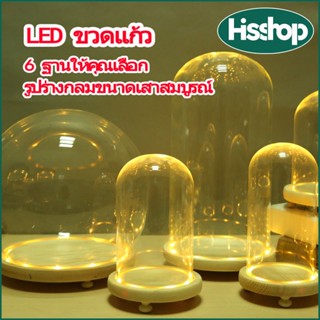 โดมแก้วมีไฟ,10cm ~ 30cm ขวดแก้วไฟ LED, ดอกไม้นิรันดร์ฝาครอบก…