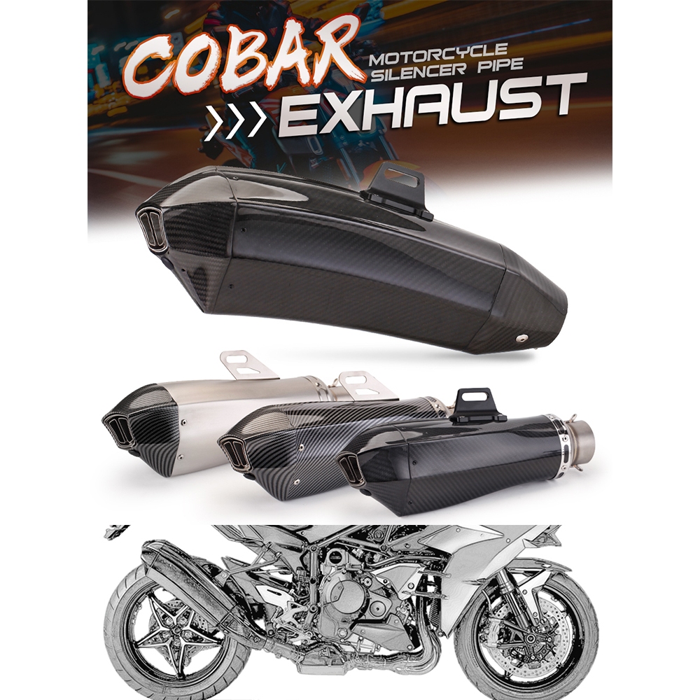 ท่อไอเสียคาร์บอนไฟเบอร์ ดัดแปลง สําหรับรถจักรยานยนต์ Kawasaki H2 ZX10R GSXR1000 Cobra 51
