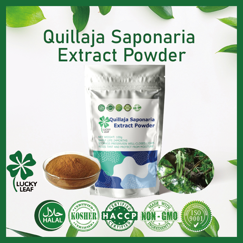 Quillaja Saponaria Extract Powder / Glycoside Saponins / กิจกรรมต้านการอักเสบ / เอฟเฟกต์แอนติมิกโรบิล / เอฟเฟกต์คอเลสเตอรอล - เอฟเฟกต์ลดระดับการสร้างภูมิคุ้มกัน - ได้รับการรับรองฮาลาล & โคเชอร์