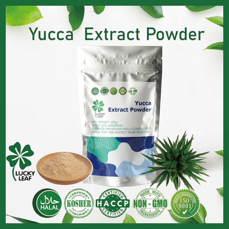 Yucca ผงสกัด สารสกัดจากพืช เบนฟิต ภูมิคุ้มกัน ผิว และข้อต่อ ได้รับการรับรองฮาลาล และคอสเฮอร์