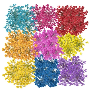 100 ชิ้นลูกปัดหิมะดอกไม้ดอกไม้แห้งนูน DIY ที่คั่นหนังสือ