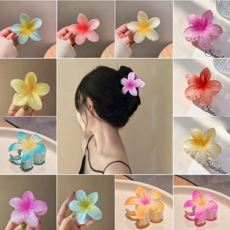 กิ๊บติดผม ลายดอกไม้ สีสันสดใส เข้ากับทุกการแต่งกาย แฟชั่นฤดูใบไม้ผลิ และฤดูร้อน สําหรับผู้หญิง 2024