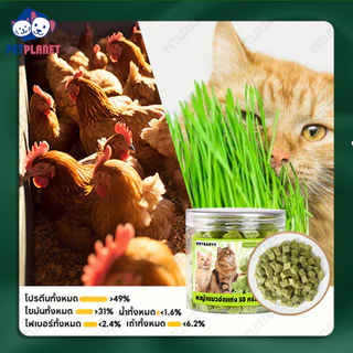 💕พร้อมส่ง!💕 หญ้าแมวฟรีซดราย ขนมแมว 50 กรัม อกไก่ผสมต้นอ่อนข้าวสาลีฟรีซดราย ช่วยสำรอกก้อนขน หอม ทานง่าย