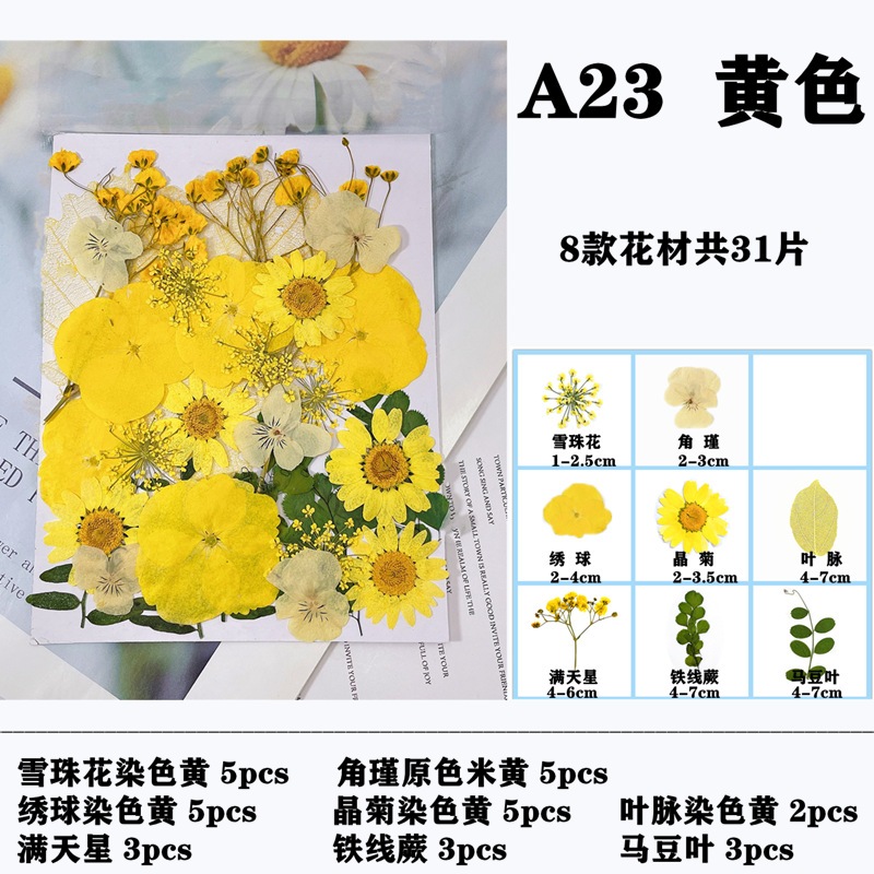 ชุดดอกไม้แห้ง ใบไม้ธรรมชาติ ผสมเรซิ่นอีพ็อกซี่ สําหรับทําเทียน DIY 29-37 ชิ้น - รูปที่ 6