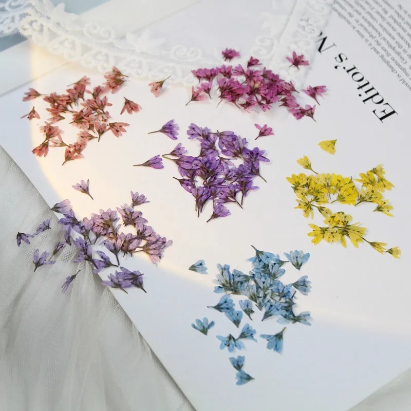 Mini Pressed Pennisetum ดอกไม้เล็บ DIY ใบหน้าแต่งหน้าคริสตัลกาวเครื่องประดับ,0.5-1 ซม./20 ชิ้น