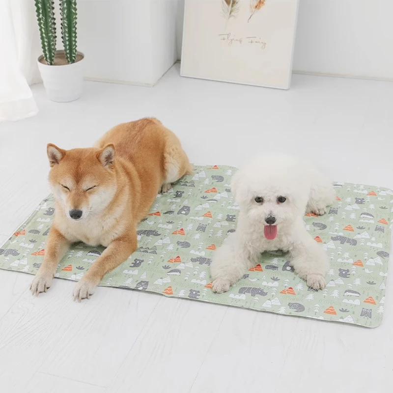 P&P ที่นอนเจลเย็นสัตว์เลี้ยง สำหรับสุนัขและแมว Pet Cool Mat thumbnail 7