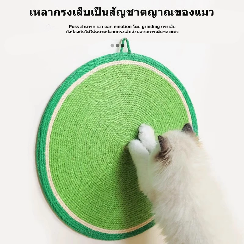 PANDA&PIGGY แผ่นรองลับเล็บแมว แผ่นรองนอนแมว thumbnail 5
