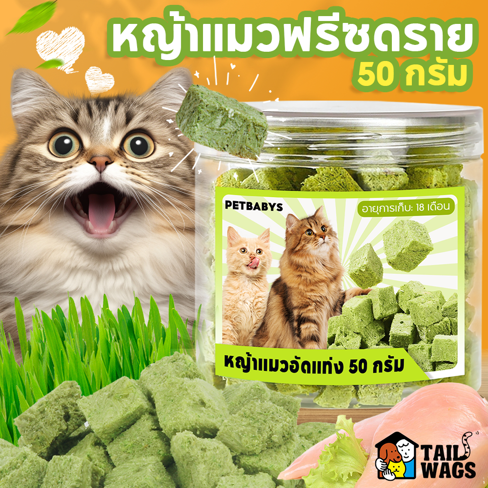 ขนมแมว😸หญ้าแมวฟรีซดราย 150กรัม หญ้าแมว ผสมอกไก่แท้ โปรตีนสูง หญ้าแมวพร้อมทาน ขนมหญ้าแมว ไม่ต้องปลูก ขนมแมวฟรีซดราย