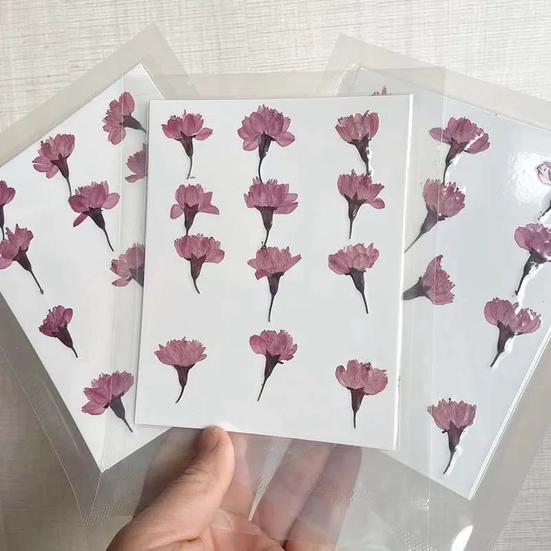 ช่อดอกซากุระแห้ง ธรรมชาติ สําหรับทําเทียน เรซิ่น อีพ็อกซี่ 1.5*3.5 ซม. 12 ชิ้น