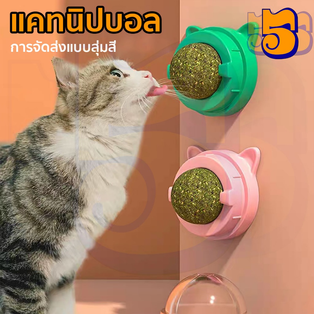 555PET ขนมแมวเลีย แคทนิปบอล กัญชาแมว ติดกำแพง ของเล่นแมว